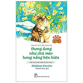 Thong Dong  Như Chú Mèo Hong Nắng Bên Hiên