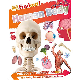 Sách ngoại văn: DKfindout! Human Body - Penguin Books