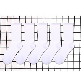 Tất gân cao cổ màu trắng - combo 5 đôi