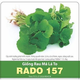 Mua Hạt giống rau má lá lớn R a d o 157 gói 1gr - Lá to  có vị thơm  ngon  năng suất cao