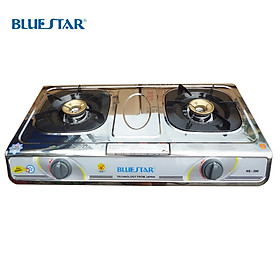 Mua Bếp gas đôi khung inox Bluestar NS-290F/S - Hàng chính hãng