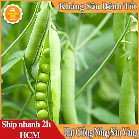 Hạt giống Đậu Hà Lan Lấy hạt.Rất Nhiều Dinh Dưỡng Và Vitamin, Có Thể Chế Biến Thành Rất Nhiều Món Ăn (Gói 10 Gram) - Nông Sản Vàng