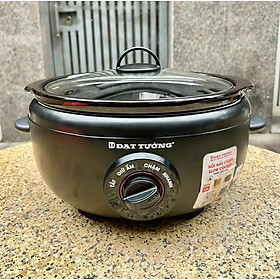 Mua Nồi Nấu Chậm Đạt Tường DTSC-3.5S 3 5l - Hàng Chính Hãng