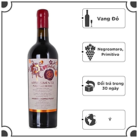 Rượu vang Ý Masseria Doppio Passo Appassimen 750ml