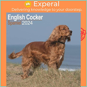 Sách - English Cocker Spaniel Calendar 2024  Square Dog Breed Wall Calendar - 16 Month by  (UK edition, paperback)