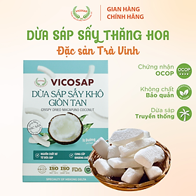 Dừa sáp sấy giòn cao cấp VICOSAP ít đường đồ ăn vặt healthy đặc sản Trà Vinh hộp 25g