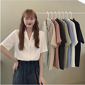 Áo sơ mi kiểu công sở tay ngắn cổ vest nữ form rộng đẹp 6 màu vintage Hàn Quốc
