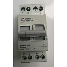 Mua CẦU DAO ĐẢO CHIỀU MINI 2P-40A- MỸ- RICHARDS