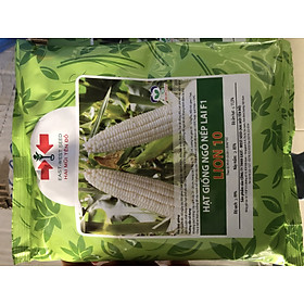 Hạt giống bắp nếp lai f1 lion 10 gói 500gr của Hai Mũi Tên Đỏ