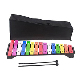 15 Note Metal Xylophone Percussion Instrument for Music Lessons Outside Home
