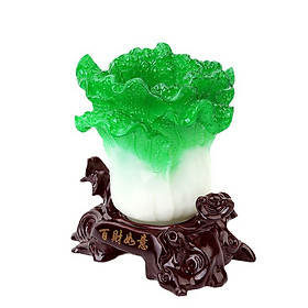 Mua Bắp Cải Phong Thủy Phát Tài  Phát Lộc Để Bàn Trang Trí Nhà Cửa  Bàn Làm Việc