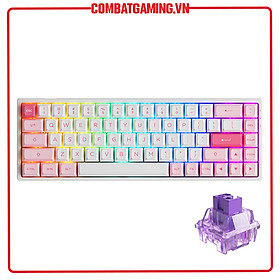 Mua Bàn phím cơ Không Dây Akko 3068B Multi-modes Prunus Lannesiana - Hàng Chính Hãng