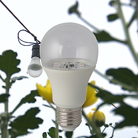 Combo 10, 50, 100 Đèn LED Chuyên dụng hoa cúc LED HC A60 9W
