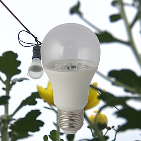 Đèn LED hoa cúc chính hãng Rạng Đông  6W Model: LED HC A60/6W WR