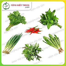Combo 6 gói hạt giống rau gia vị các loại siêu tiết kiệm - dễ trồng, tỉ lệ nảy mầm cao, sinh trưởng khỏe vtnn nông điền trang