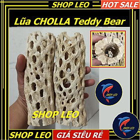 Lũa Teddy Bear Cholla Cho Tép Cảnh -Cholla Teddy Bear - Lũa Xương Rồng Rỗng Ruột Size Lớn - Trang Trí hồ tép-shopleo