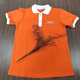 Áo thun BAC - Cam - Trắng - L