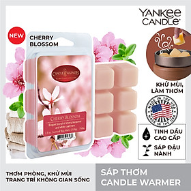 Mua Sáp thơm Candle Warmer - Cherry Blossom