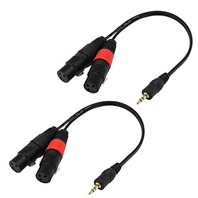 2 Pieces 3.5mm (Mini) 1/8'' TRS Stereo Male to 2 Port Dual XLR Female Adapter Cable Cord Connecting for iPhone, iPad, or any 3.5mm Audio Output to a Powered Speaker