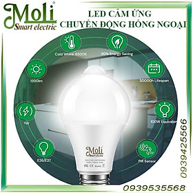 Mua ĐÈN LED CẢM ỨNG CHUYỂN ĐỘNG HỒNG NGOẠI MOLI