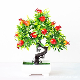 Cây Giả - Chậu Cây Lựu Bonsai để bàn-Cây trang trí nhà cửa văn phòng quán cafe