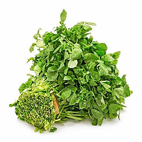 Mua Hạt giống rau cải xoong