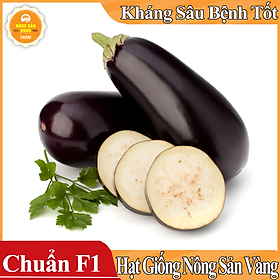 Mua Hạt giống Cà Tím Quả Lê ( Gói 50 Hạt ) - Nông Sản Vàng