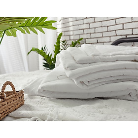 Mua Ruột chăn hè cao cấp Gòn Bedding 2m2x2m (đặt hàng 2 ngày)