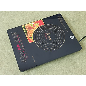 Bếp từ Lorente LT-666