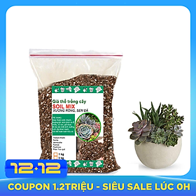 Đất trồng sen đá trộn sẵn-Trồng xương rồng, sen đá-Cung cấp đầy đủ chất dinh dưỡng cho cây trồng- (1kg)