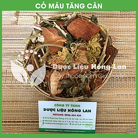 Dược liệu CỎ MÁU TĂNG CÂN