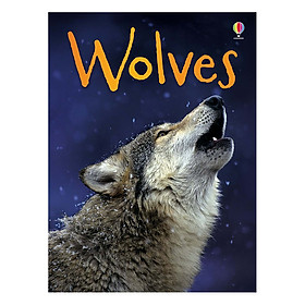 [Download Sách] Usborne Wolves