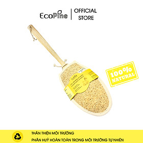 Mua Cây chà lưng xơ mướp ECOPINE loại cao cấp dài 45cm