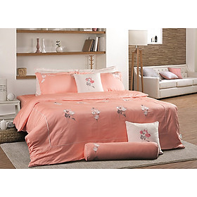 Bộ chăn 4 mùa(01 chăn 4 mùa 200*22001 ga phủ02 vỏ gối đầu 45*65) Everon ESM19016
