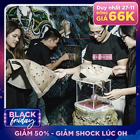We Escape- Trò Chơi Nhập Vai Thực Tế 5D Hấp Dẫn, Kịch Tính, Không Gian Chân Thật