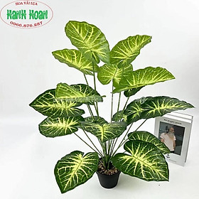 Mua CÂY 18 LÁ CÁC LOẠI (MONSTERA  CHUỐI  LÁ MÔN ..) CAO 80CM- CÂY GIẢ DERCOR