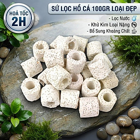 Vật Liệu Lọc Nước Sứ Lỗ 100gr - Tăng Vi Sinh, Khử Mùi Hồ Cá Hiệu Quả
