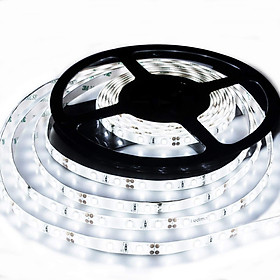 Mua Cuộn led dây dài 5m 5050 - 12V màu sắc ánh sáng trắng 300 bóng led - phủ nhựa ngoài trời