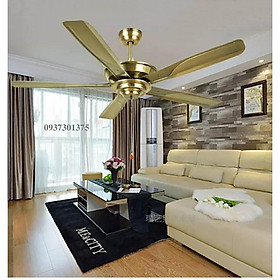 Mua Quạt Trần Trang Trí Nhập Khẩu Cao Cấp Q7005 Tặng Kèm Bộ Điều Khiển Từ Xa
