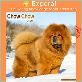 Sách - Chow Chow Calendar 2024  Square Dog Breed Wall Calendar - 16 Month by  (UK edition, paperback)