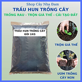 Trấu Hun Trồng Cây (tro trấu)