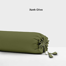 Vỏ Gối Ôm Cotton Satin Hàn Quốc Cao Cấp À Ơi Concept Màu Trơn Nhiều màu Dây kéo khoá Size 37x100 cm