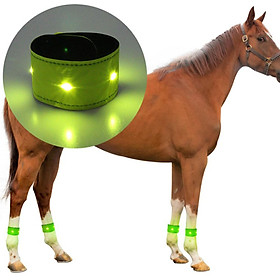 LED Horse Leg Strap Neoprene Durable Belt Night Visible Legging Decor Safety Warning Lights Equipment Equestrian Supply Reflective Sets for Pet
