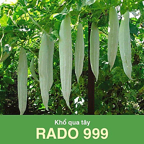 Mua Hạt Giống Khổ Qua Tây Rado 999 (Lặc Lầy) Sai Trái  Giàu Dinh Dưỡng 2gr - Trái dài 20cm  nhiều trái