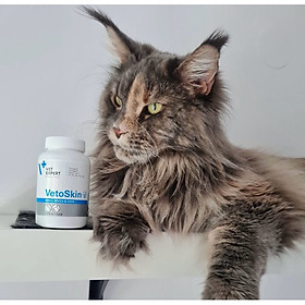 Vet Expert VetoSkin Sản phẩm bổ sung cho chó mèo giúp hỗ trợ các vấn đề về da