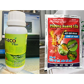 Combo trừ sâu PHL 200g và phân bón lá ECO Plus 250ml - Trừ sâu chích hút - Cải thiện năng suất, chất lượng, phòng bệnh sinh lý