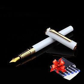 Bút Máy Picasso 988F