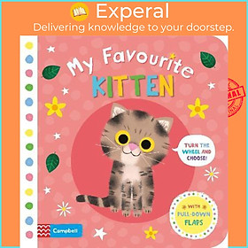 Sách - My Favourite Kitten by Campbell Books (UK edition, paperback)
