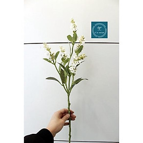 Mua Cành hoa tử đinh hương 5 nhánh cao 62cm xinh đẹp theo phong cách Pháp  hoa lụa cao cấp