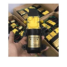 Mua Bơm Áp Lực Mini 12V Sinleadder